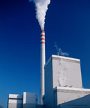 Plant Picture; Size=130 pixels
